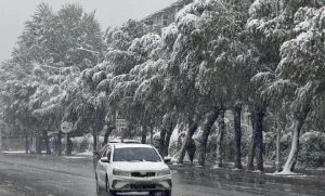 your-warmth-product-inventory-ready-for-this-winter